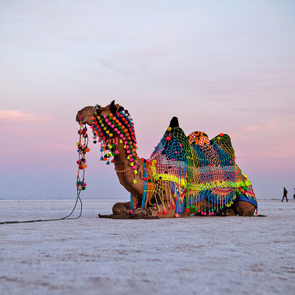 Hidden Treasures of Gujarat.jpg